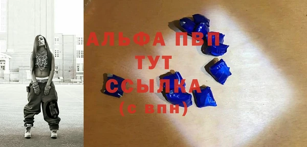 стафф Алзамай