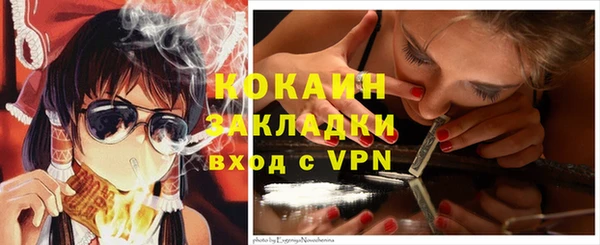 стафф Алзамай