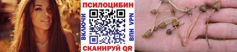 Псилоцибиновые грибы Psilocybine cubensis  Опочка 